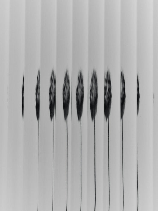 Haze Wall Cabinet - Tall