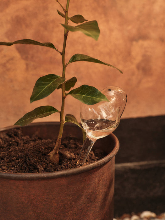 Mercury Water Globes - Small - Set of 2