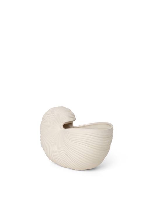 Shell Pot