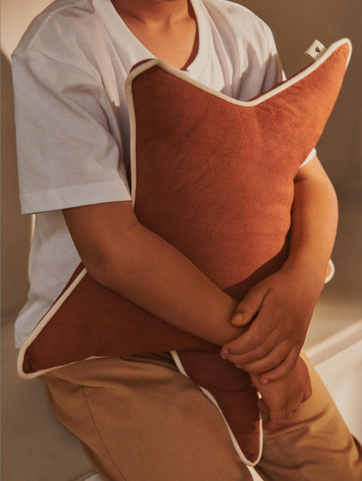 Star Cushion
