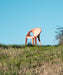 Bell Chair bell sunrise - ambient