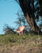 Bell Chair bell sunrise - ambient