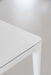Big Will big will white bleached oak - ambient