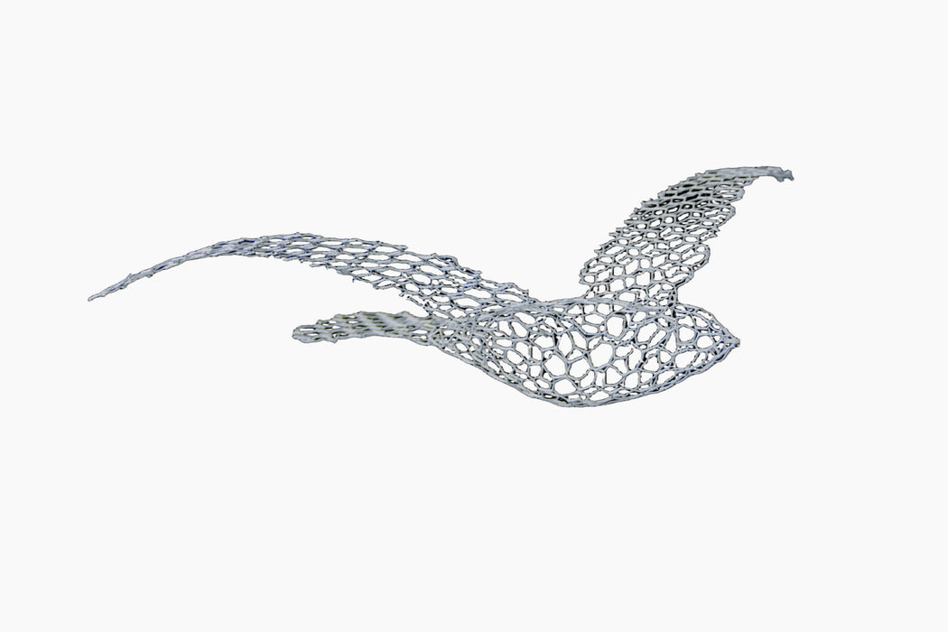 magis-birds - studio