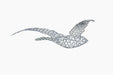 magis-birds - studio