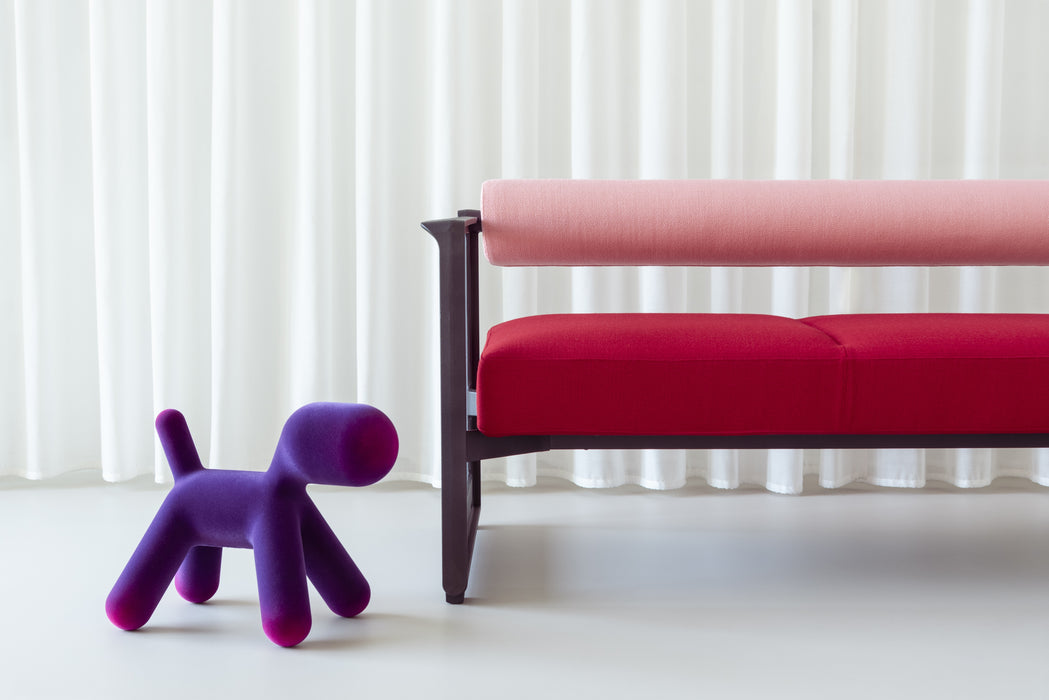 Brut puppy purple fuchsia - ambient