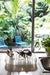 Dish Doctor dish doctor transparent clear - ambient