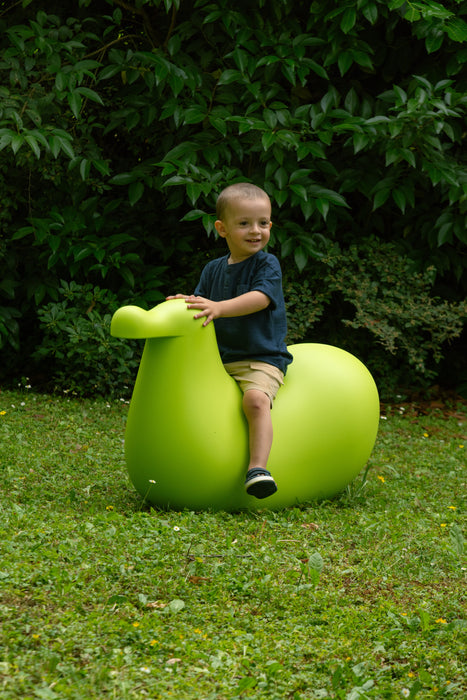 Dodo dodo rocking bird green - ambient