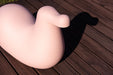 Dodo dodo rocking bird pink - ambient
