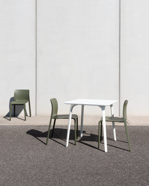 First first olive green white - ambient