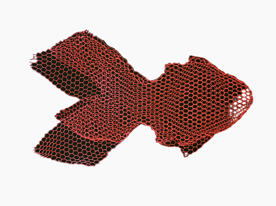 magis-fish - studio
