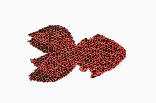 magis-fish - studio
