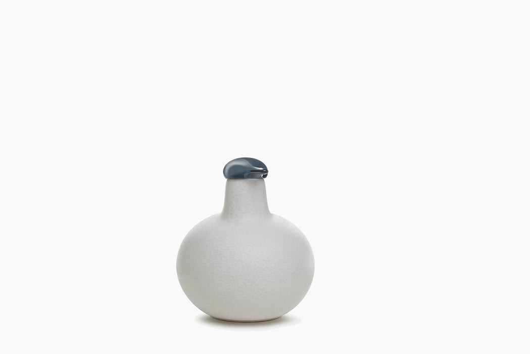 Linnut – Kirassi linnut kirassi off - studio