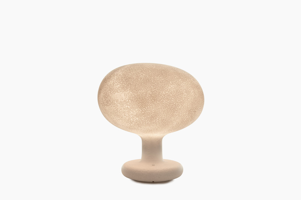 Linnut – Palturi linnut palturi - studio