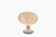 Linnut – Palturi linnut palturi - studio
