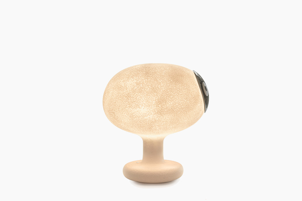 Linnut – Palturi linnut palturi - studio