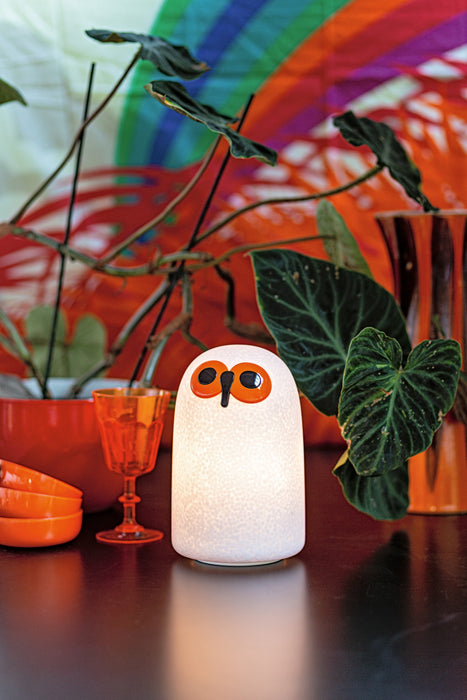 Linnut – Sulo linnut sulo lighting device - ambient