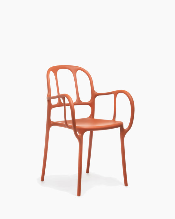 Milà mila orange - studio