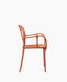 Milà mila orange - studio