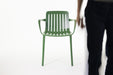 Plato plato green - ambient