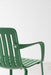 Plato plato green - ambient