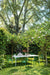 Plato plato green - ambient