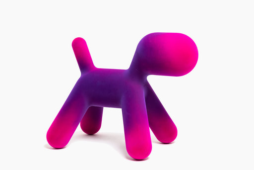Puppy puppy violet fuchsia - studio