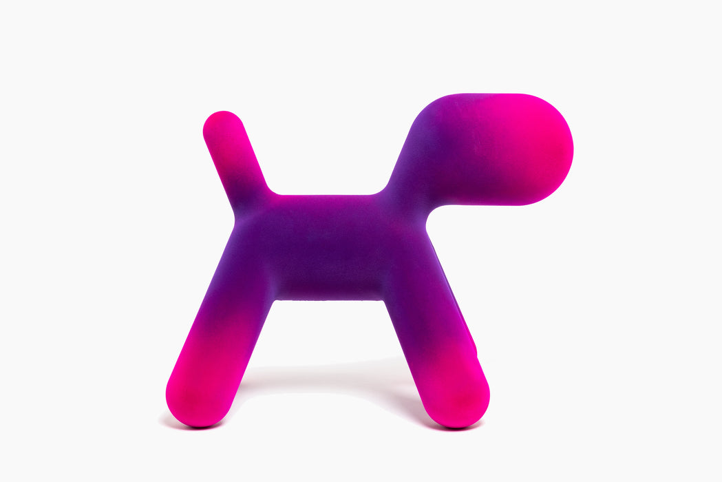 Puppy puppy violet fuchsia - studio