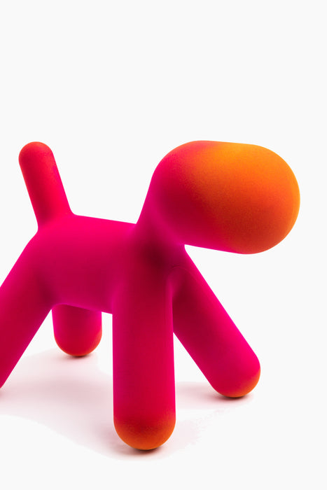 Puppy puppy fuchsia orange - studio