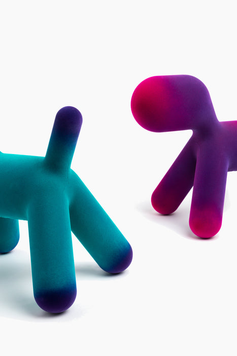 Puppy puppy turquoise violet fuchsia - studio