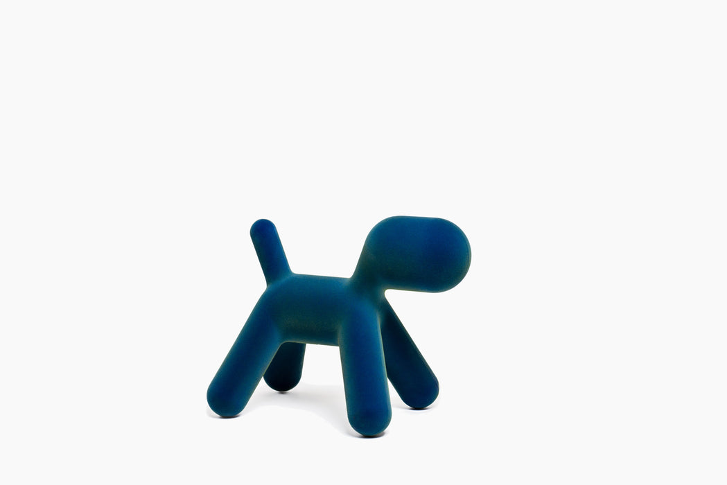 Puppy puppy blue iridescent - studio