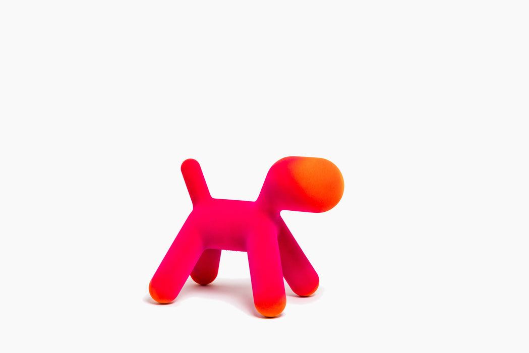 Puppy puppy fuchsia orange - studio