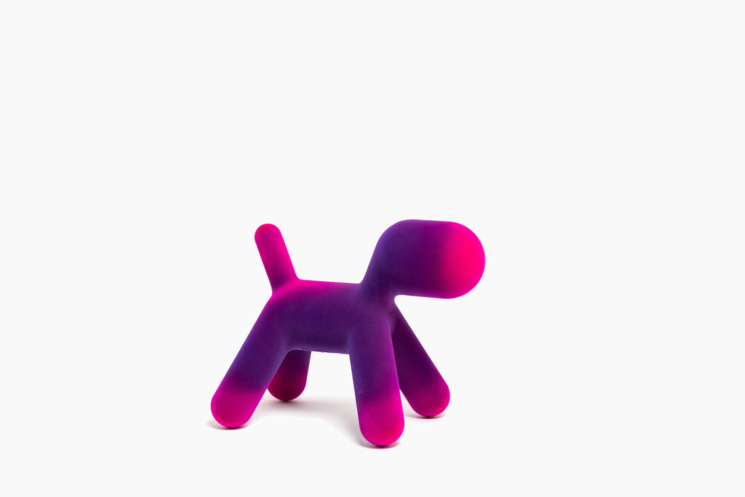 Puppy puppy violet fuchsia - studio