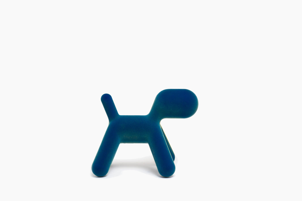 Puppy puppy blue iridescent - studio