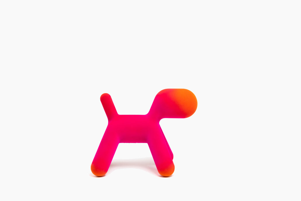 Puppy puppy fuchsia orange - studio
