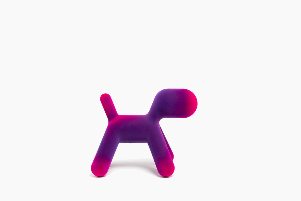 Puppy puppy purple fuchsia - studio