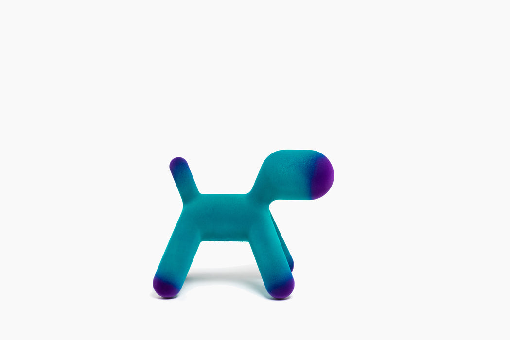 Puppy puppy turquoise violet - studio