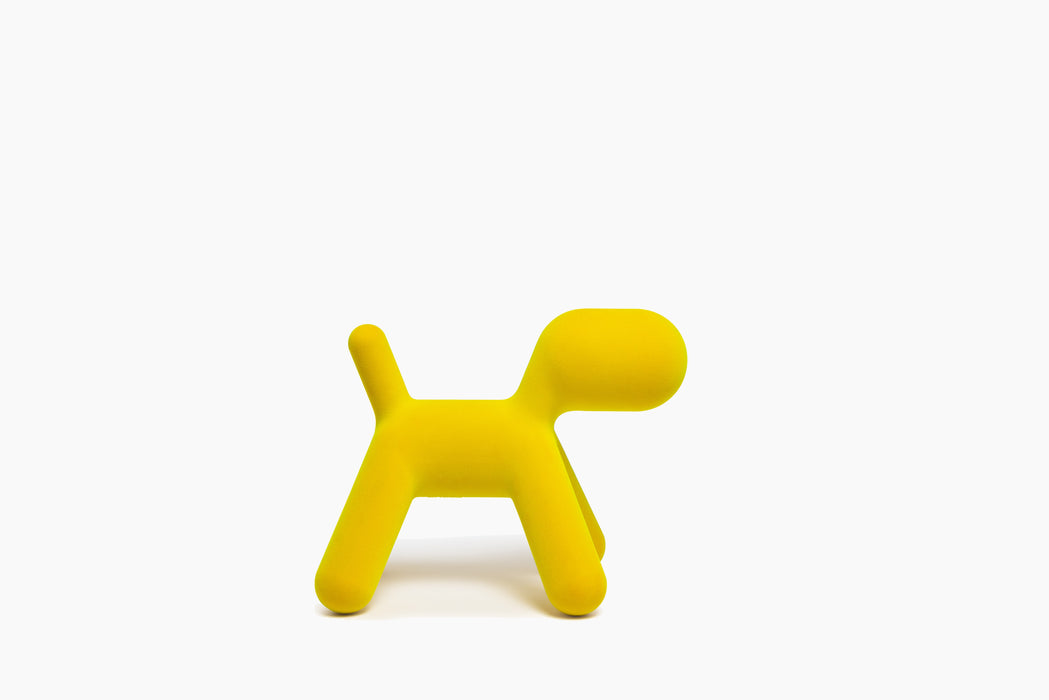 Puppy puppy yellow iridescent - studio