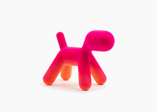 Puppy XS puppy bicolour fuchsia orange - studio