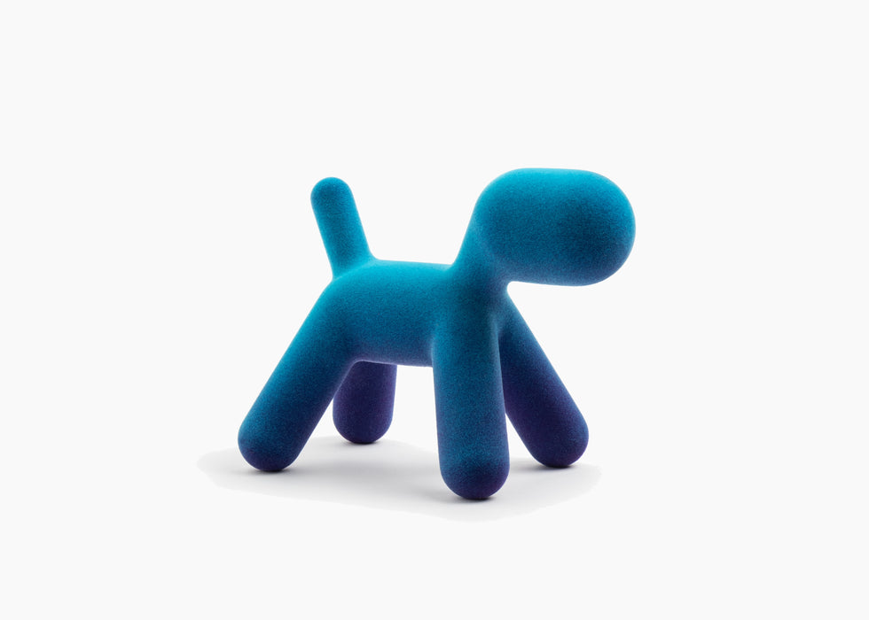 Puppy XS puppy bicolour light blue violet - studio