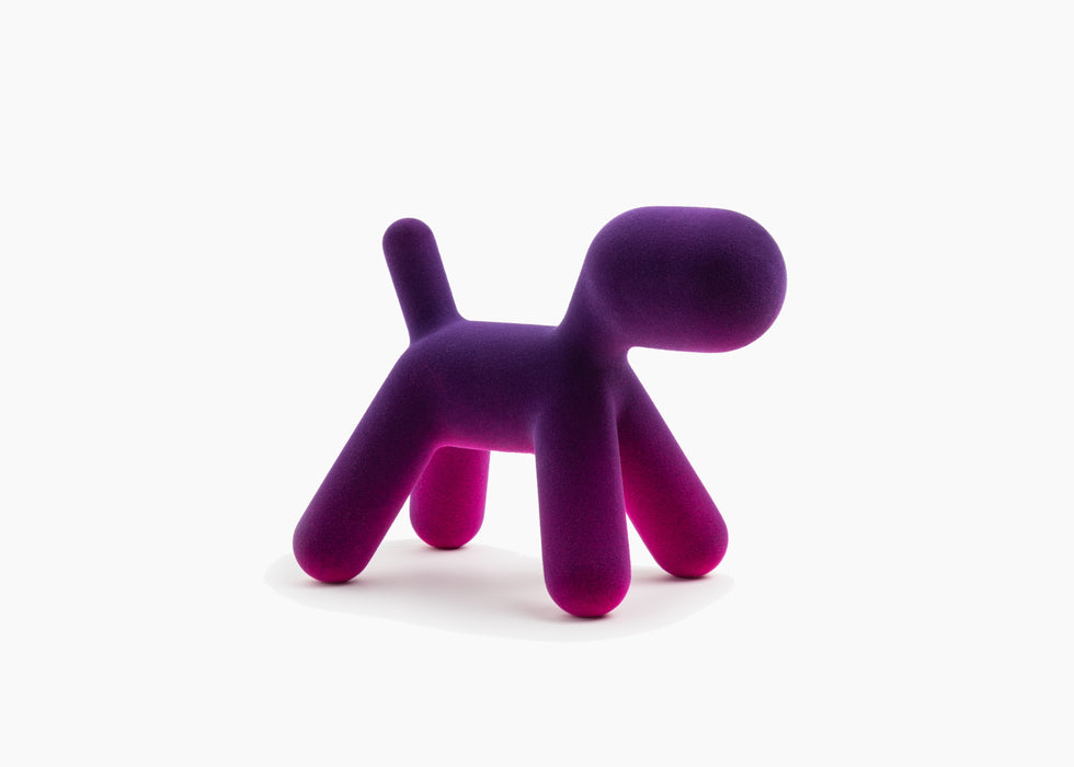 Puppy XS puppy bicolour violet fuchsia - studio