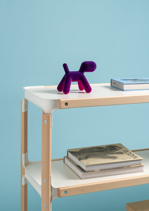 Puppy XS puppy bicolour violet fuchsia - ambient