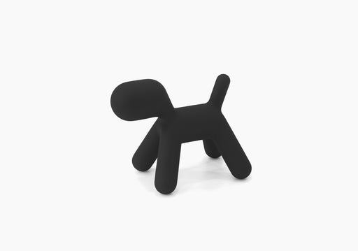 Puppy XS puppy black - studio