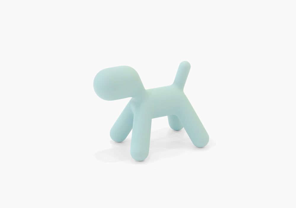 Puppy XS puppy turquoise - studio