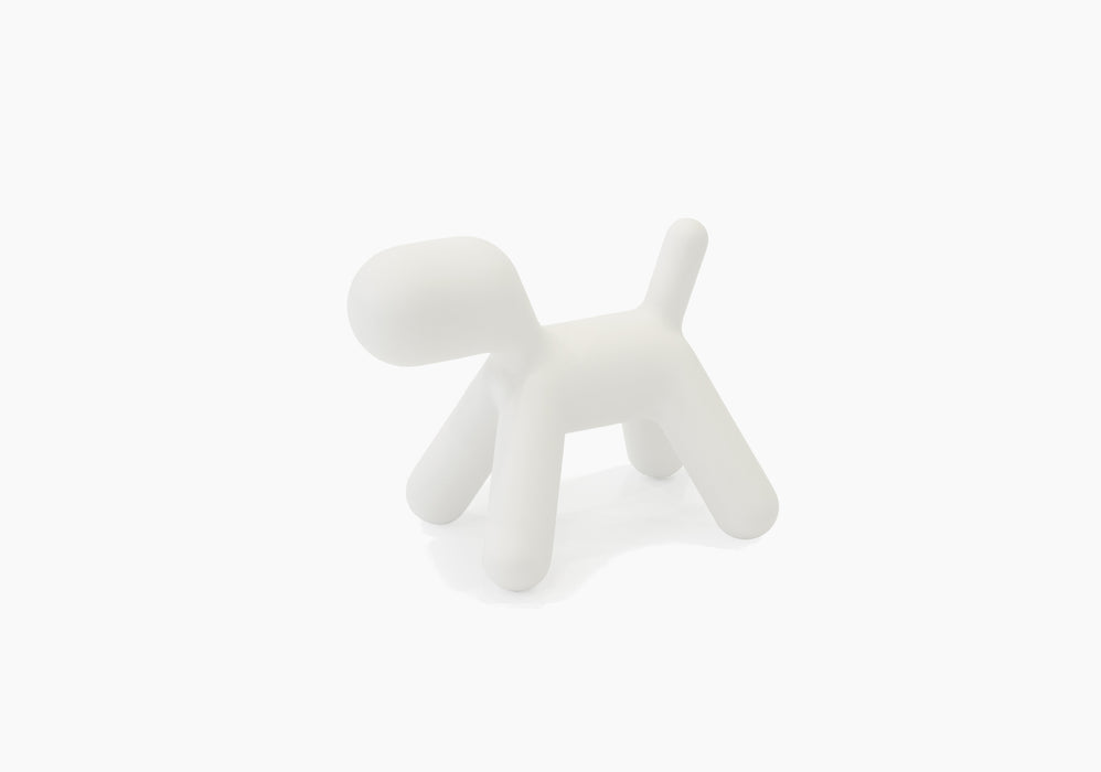 Puppy XS puppy white - studio