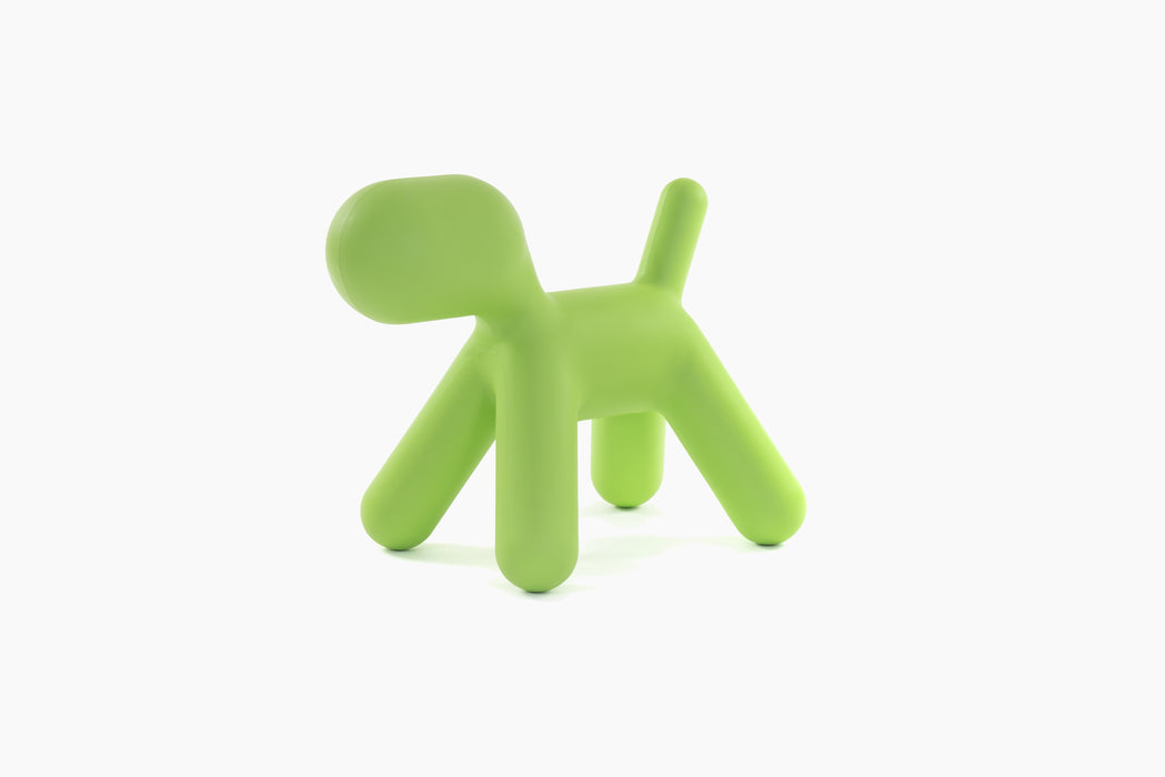 Puppy puppy green - studio