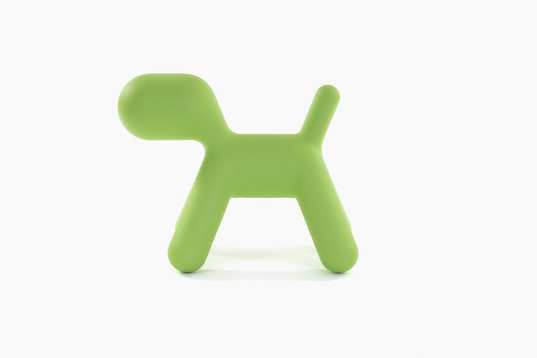 Puppy puppy green - studio