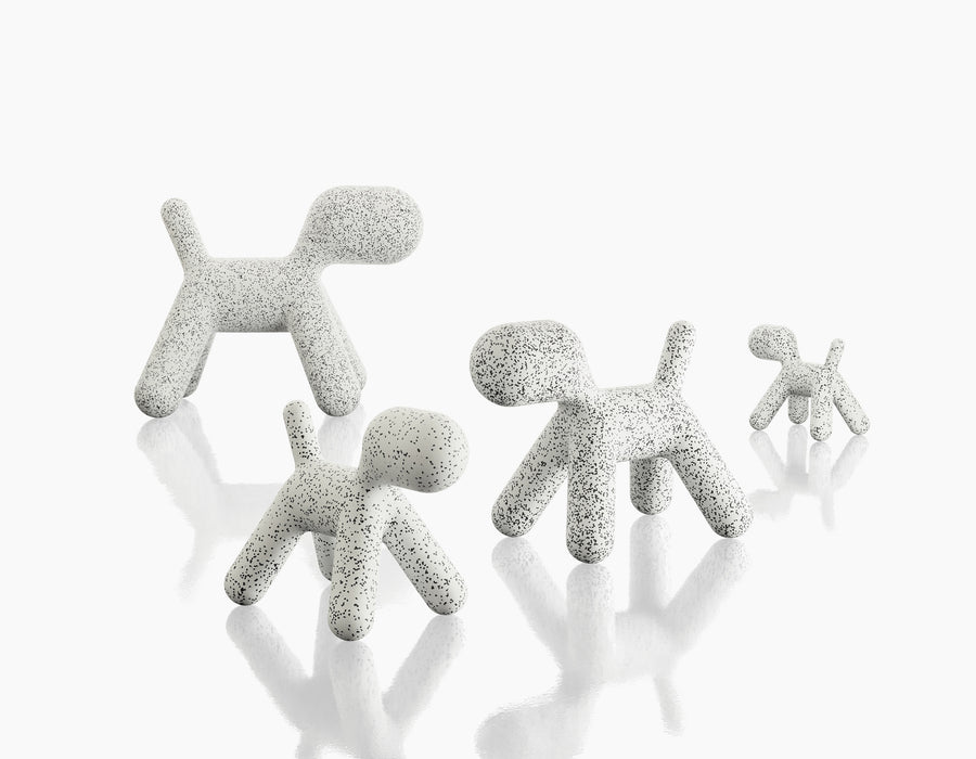 Puppy puppy dalmatian - studio