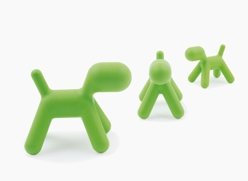 Puppy puppy green - studio