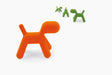 Puppy puppy orange green - studio